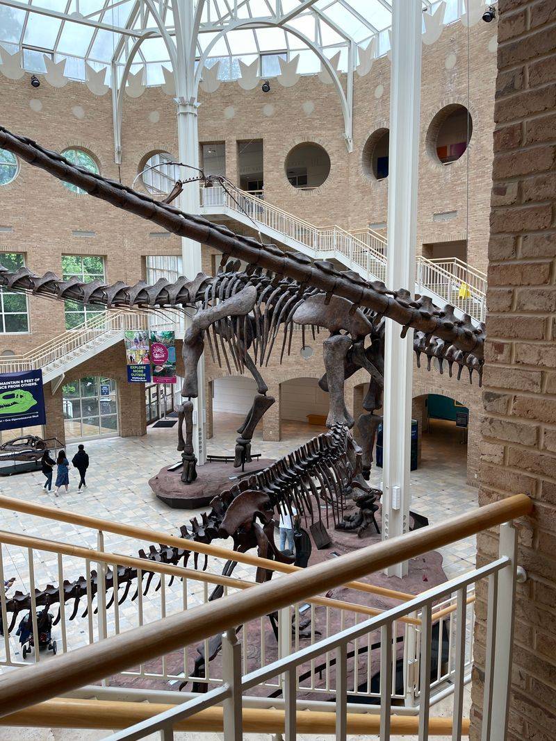 Visit the Georgia Museum of Natural History
