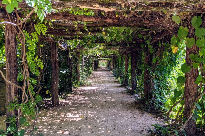 Coker Arboretum Offers Historic Charm and Serenity