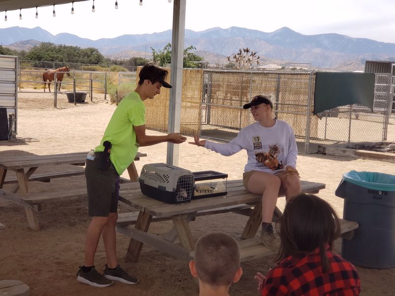 This California Sanctuary Is A One-Of-A-Kind Place To Get Up Close With Rescued Exotic Animals - Decor Hint Educational Programs Inspire Future Advocates