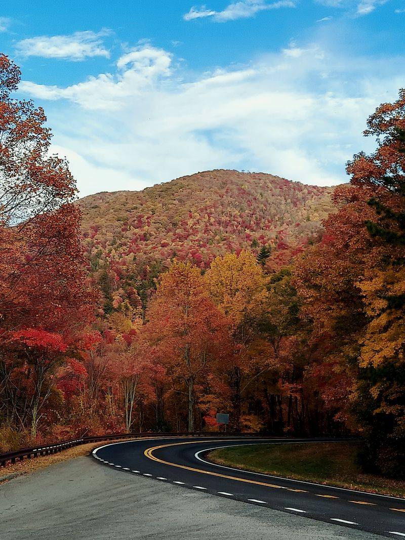 This Mountain Drive In North Carolina Feels Like A Roller Coaster With Views - Decor Hint Tellico Plains: Gateway To Mountain Magic