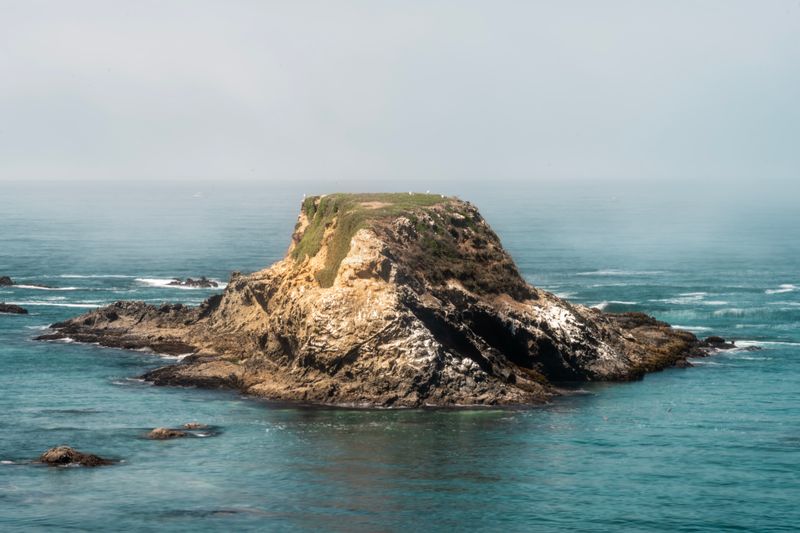 This Dreamy California Town Still Feels Like A Well-Kept Secret - Decor Hint Grey Whale Migration Creates Natural Spectacle