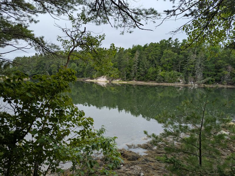Whaleback Shell Midden