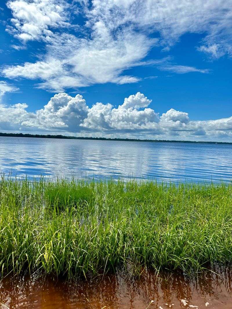 Birdwatching In Diverse Coastal Habitats