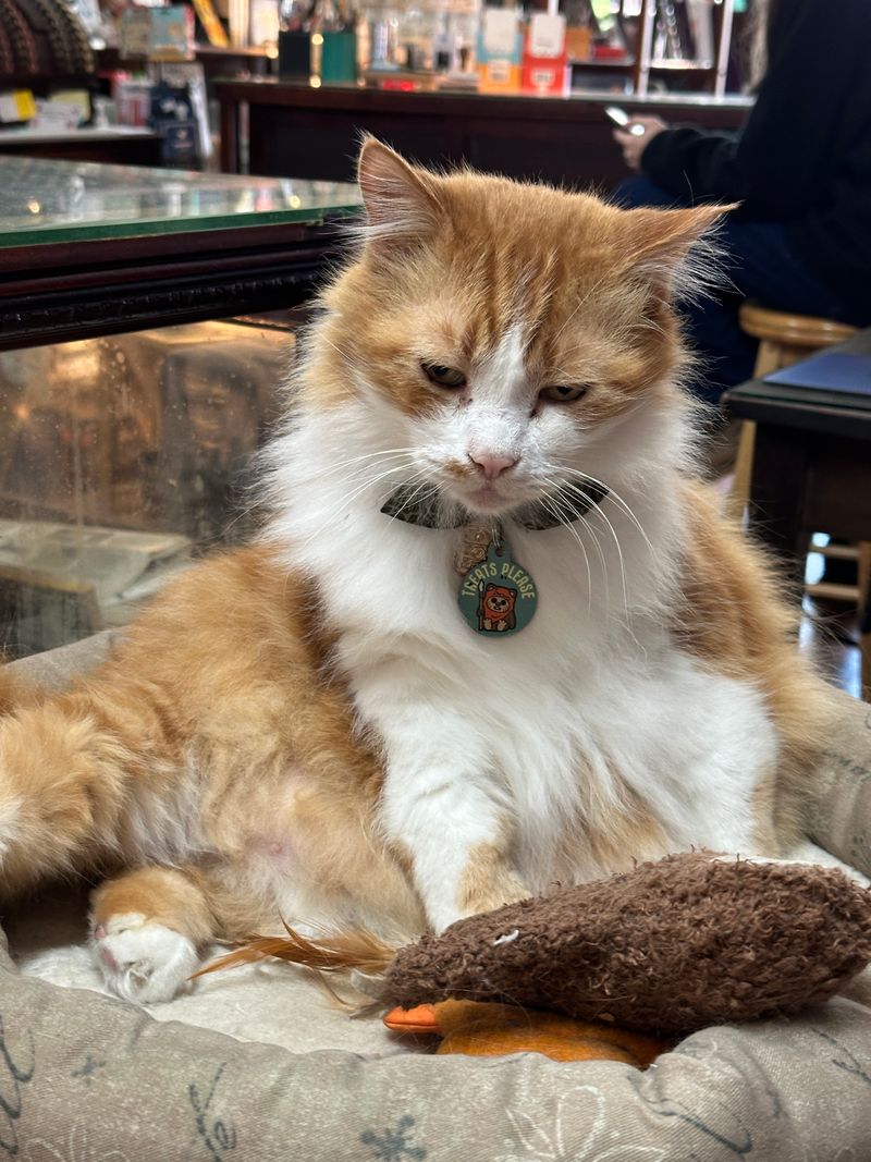 More Than Just Books