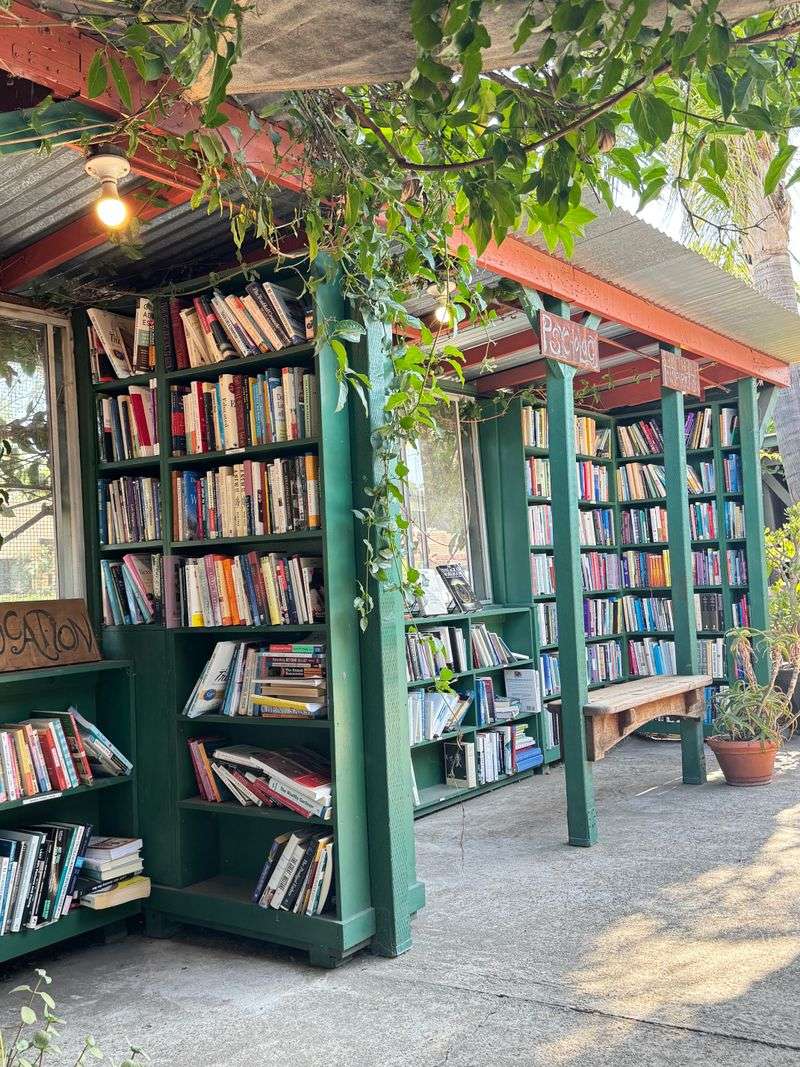 A Treehouse Atmosphere Among The Shelves