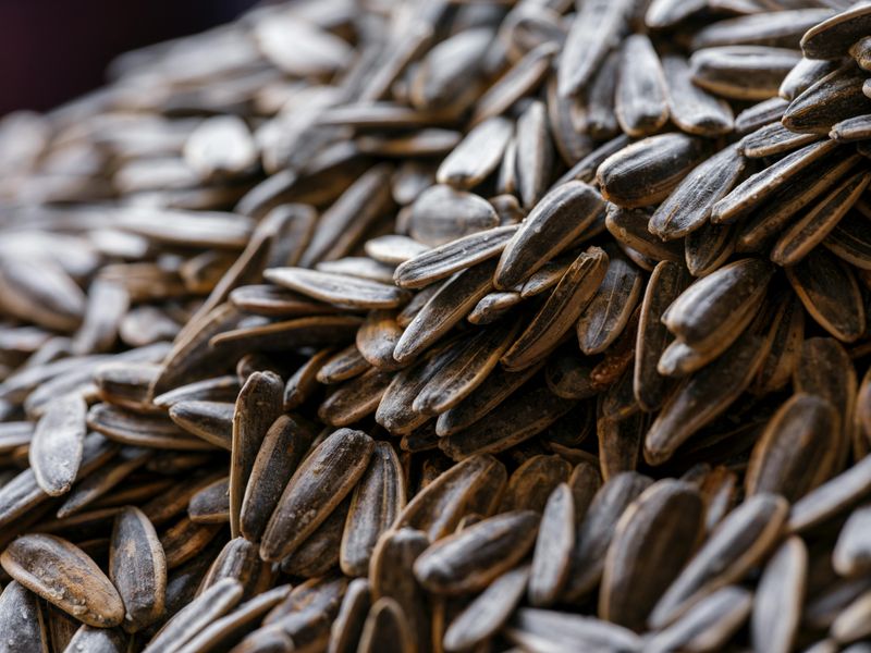 15 Kansas Food Traditions That Confuse Outsiders But Locals Wouldn't Change A Thing - Decor Hint Sunflower Seeds At Every Event