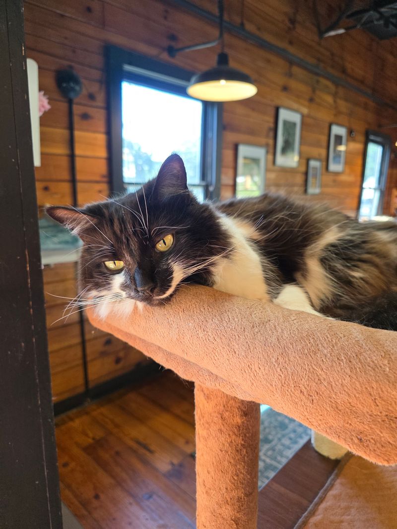 More Than a Café, It’s a Community