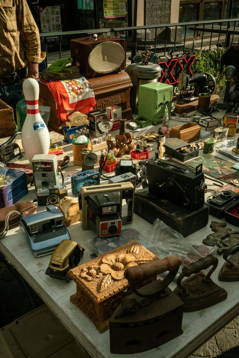 Collections Displayed Without Editing