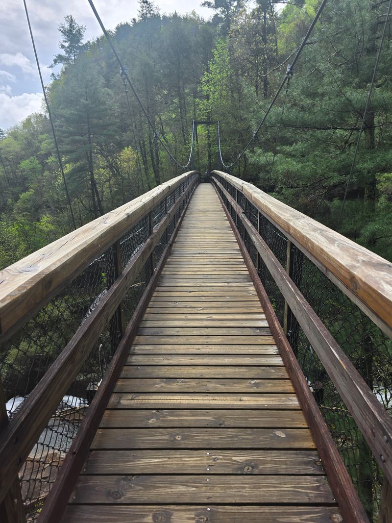 14 Georgia Experiences That Would Make The Perfect Present - Decor Hint Guided Hiking Tour to Tallulah Gorge