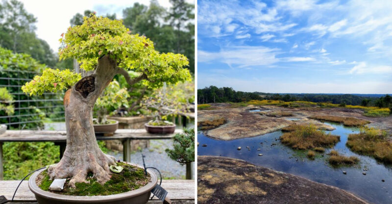 Georgia Attractions That Prove Travel Doesn’t Have To Be Loud