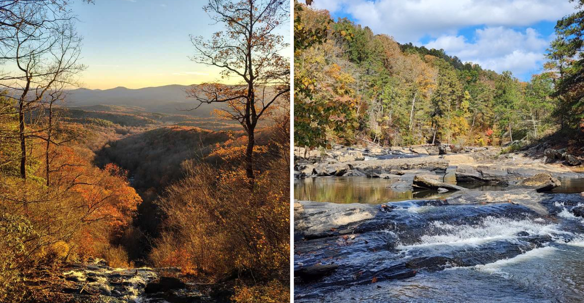 Georgia Hikes That Regulars Recommend Again And Again - Decor Hint