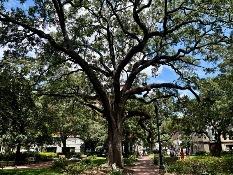 Savannah's Historic District