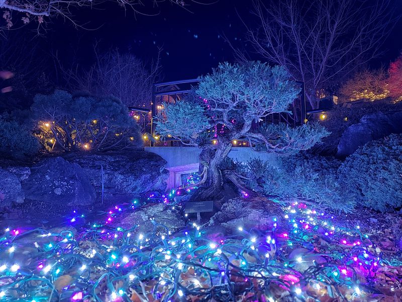 This North Carolina Garden Feels Like A Lush Escape From Reality - Decor Hint Seasonal Events Celebrating Nature's Rhythms