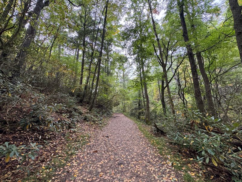 Linville Falls Trail