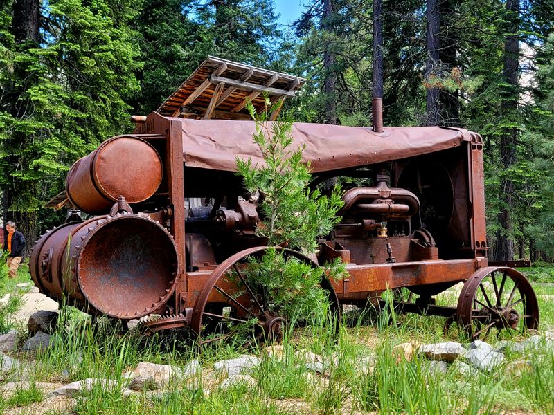 The 1851 Gold Discovery That Started It All