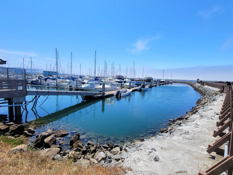 Pillar Point Harbor Provides The Perfect Backdrop