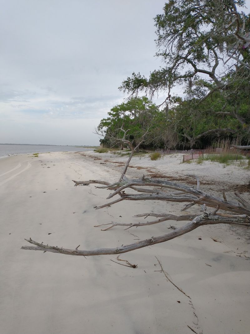 St. Andrews Beach at Jekyll Island