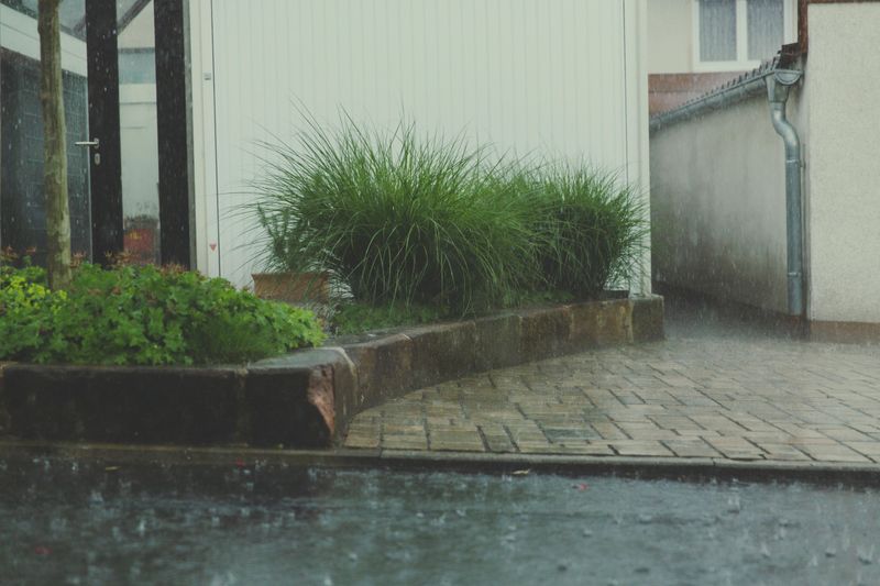 Rainwater Harvesting Systems