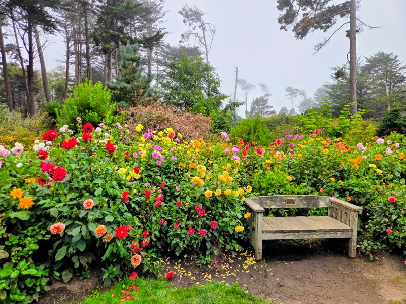 This Dreamy California Town Still Feels Like A Well-Kept Secret - Decor Hint Mendocino Coast Botanical Gardens Showcase Coastal Flora