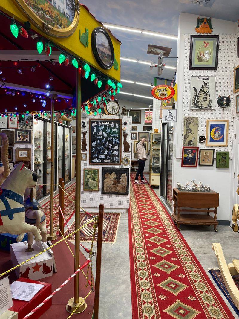 A Surprisingly Charming Cat Museum Is Hiding In North Carolina - Decor Hint Dr. Harold W. Sims And His Lifelong Mission