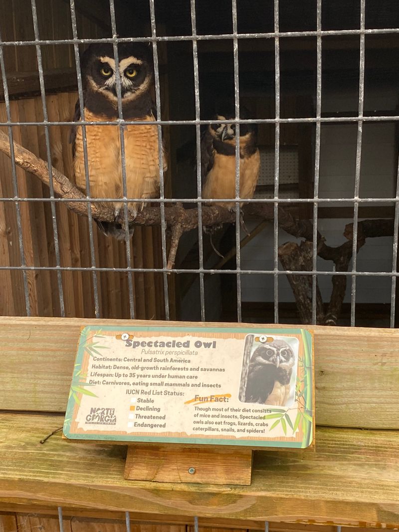 Educational Conservation Programs