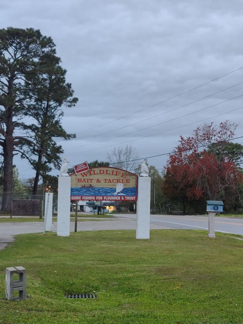 Underrated North Carolina Favorites You Need To Experience - Decor Hint Wildlife Restaurant & Grill, Southport