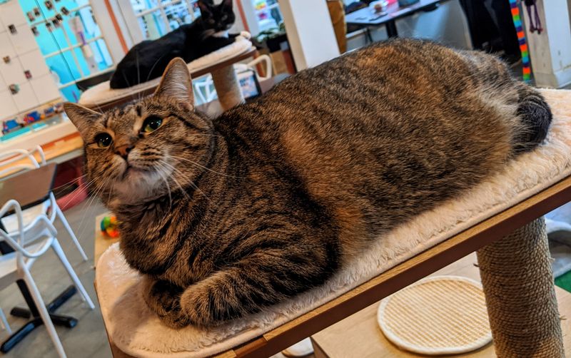 A Gentle Escape from City Life