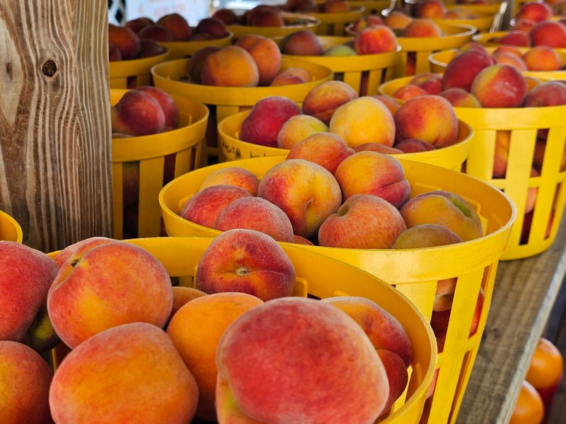 Peach Stand or Farmers Market