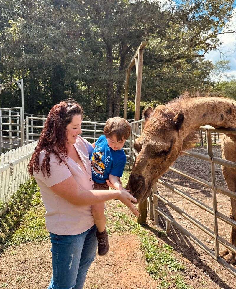 Educational Programs For All Ages