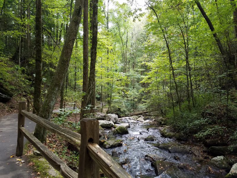 Anna Ruby Falls Twin Springs