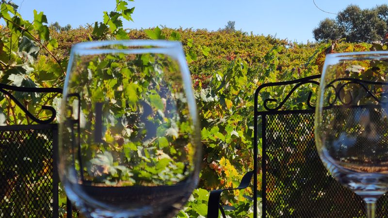 15 Epic California Road Trips You Need To Take That Belong On Your Bucket List - Decor Hint Central Coast Wine Trail