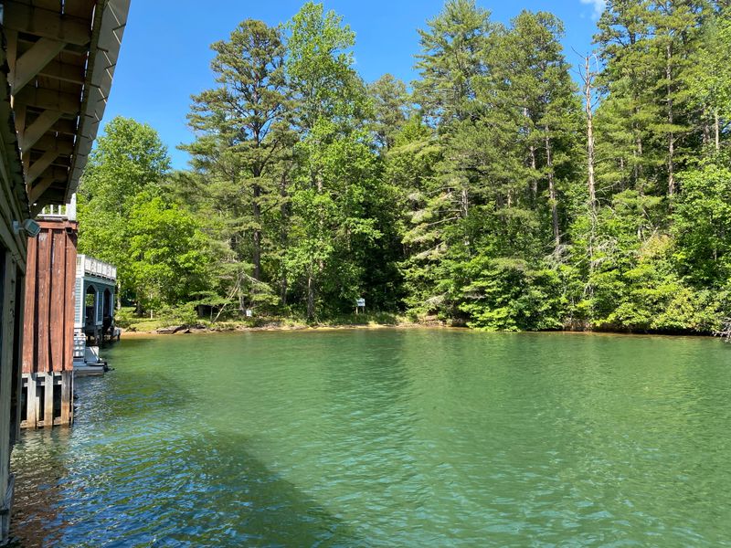 Lake Rabun Is One Of Georgia's Most Peaceful Hidden Retreats - Decor Hint Swimming in Crystal-Clear Waters