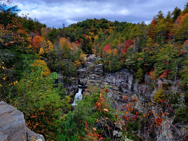 Pisgah National Forest