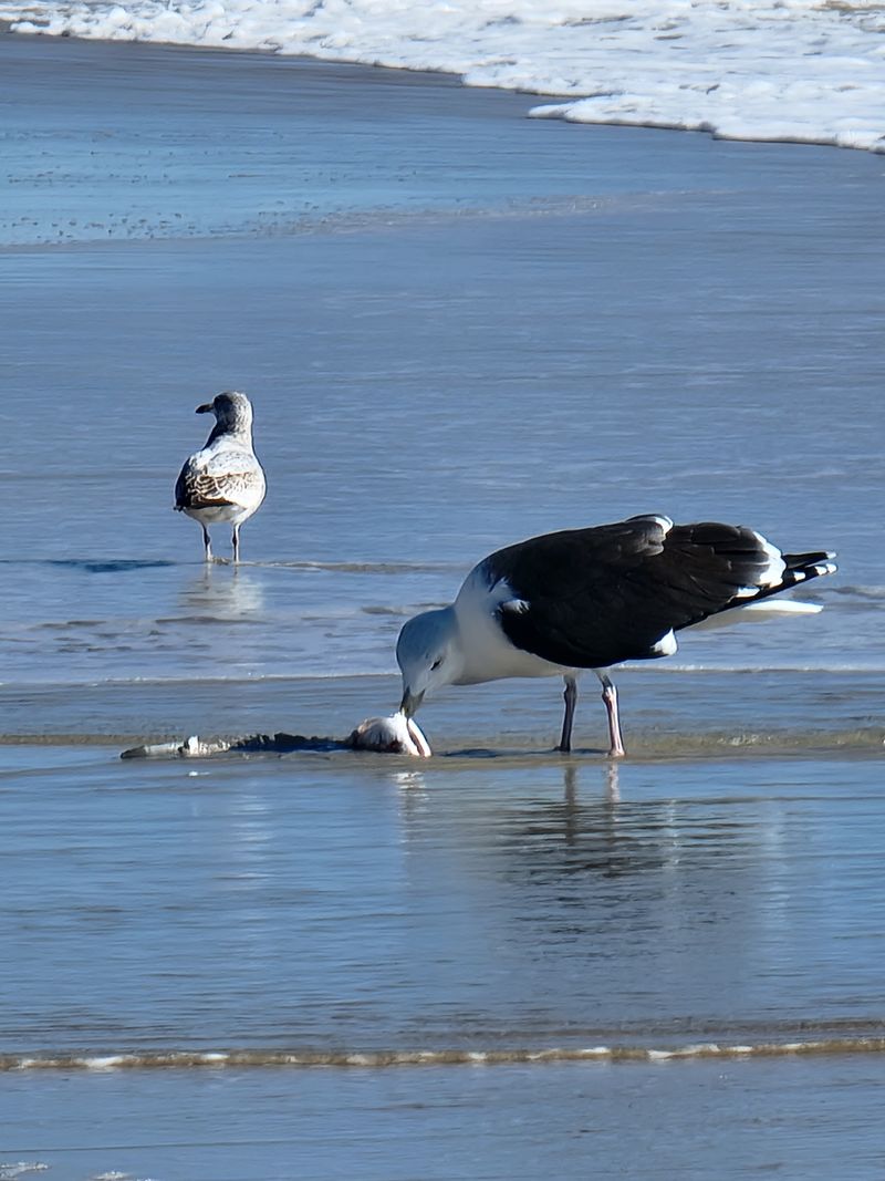 Prime Birdwatching Location