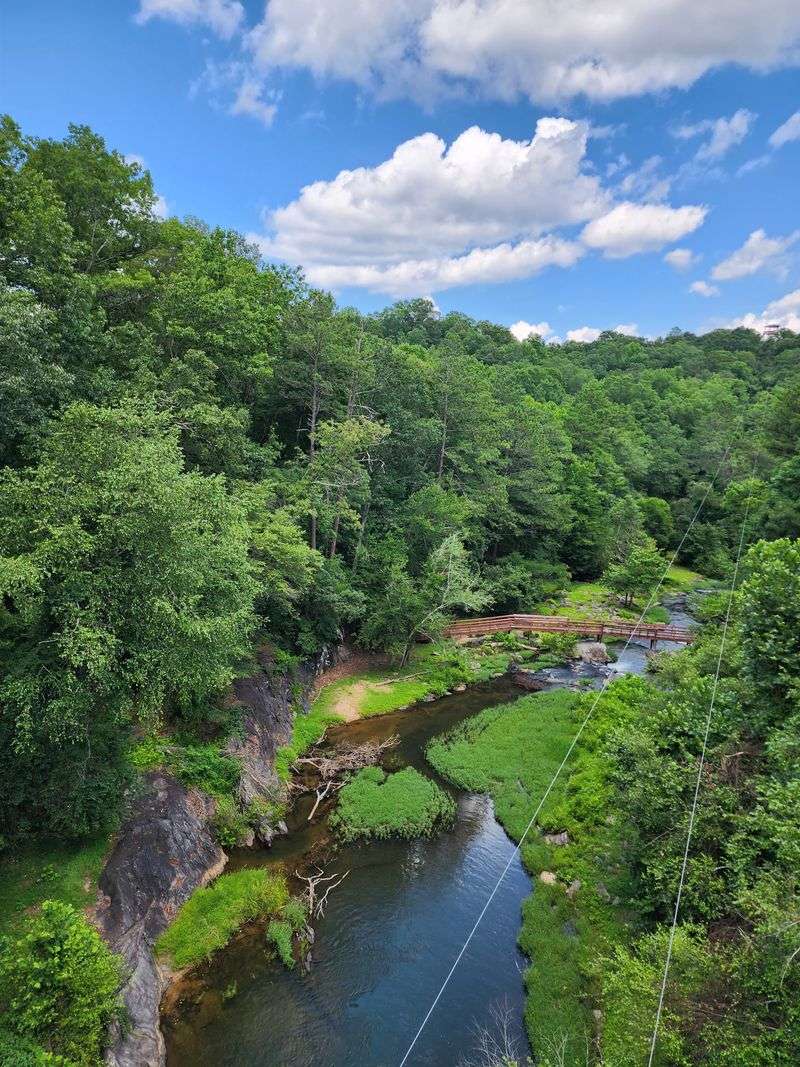 Wildlife Watching Opportunities