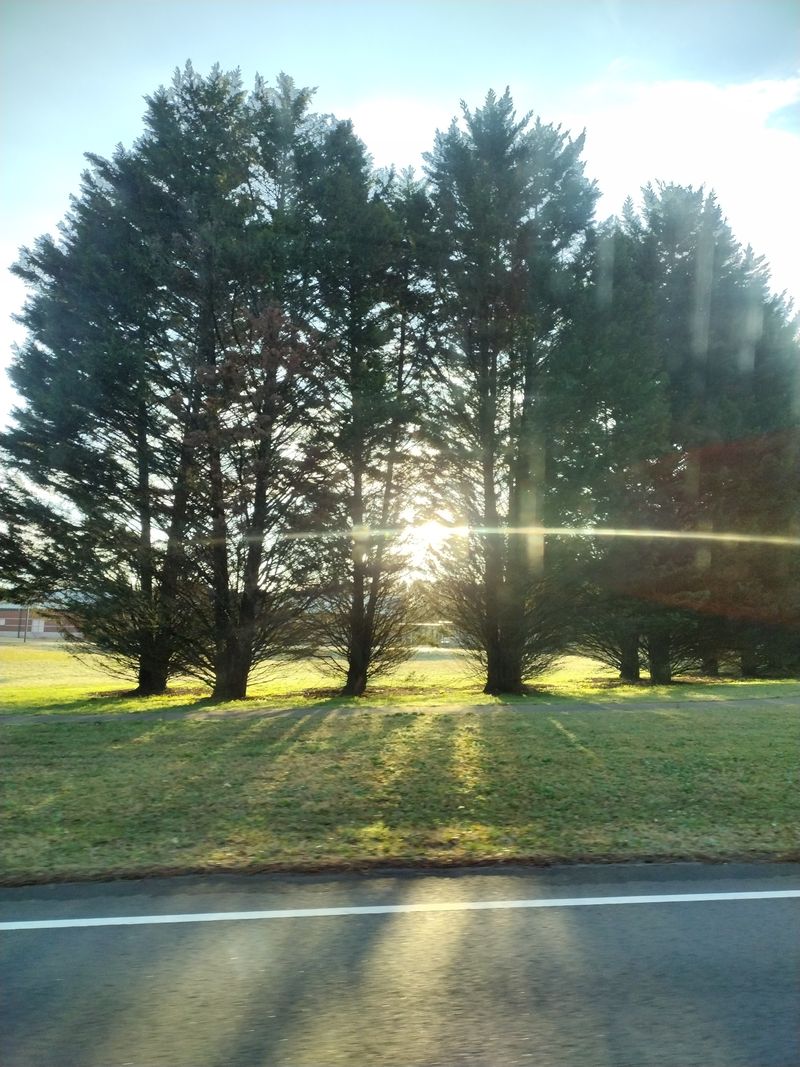 Roswell Riverside Sounds Concert Series