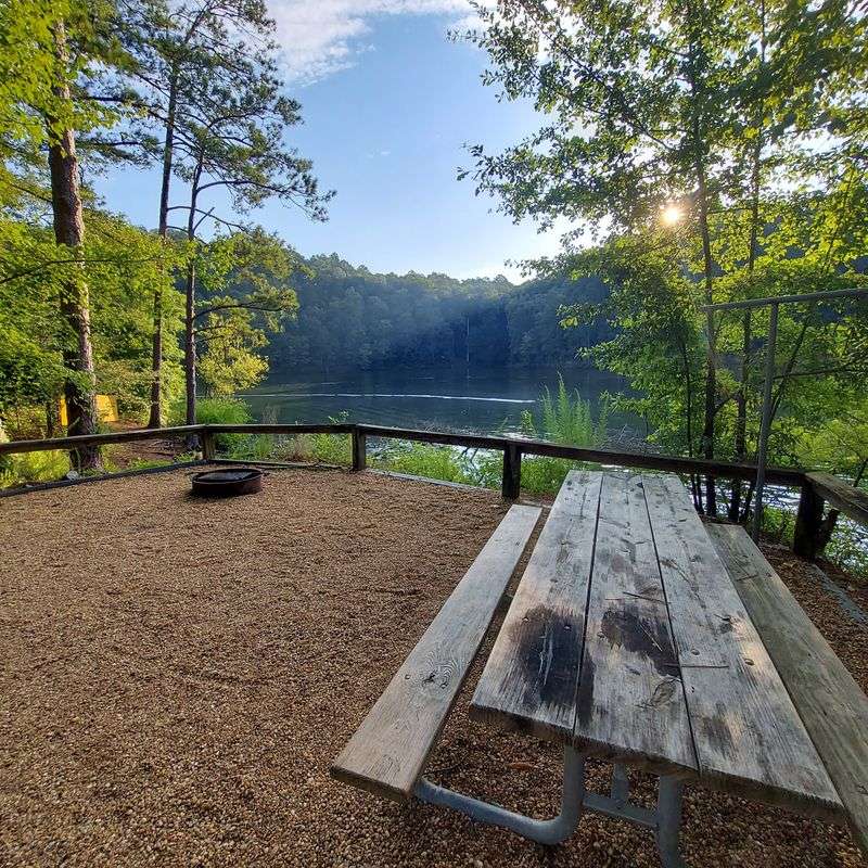 Camping Under The Stars At Multiple Parks