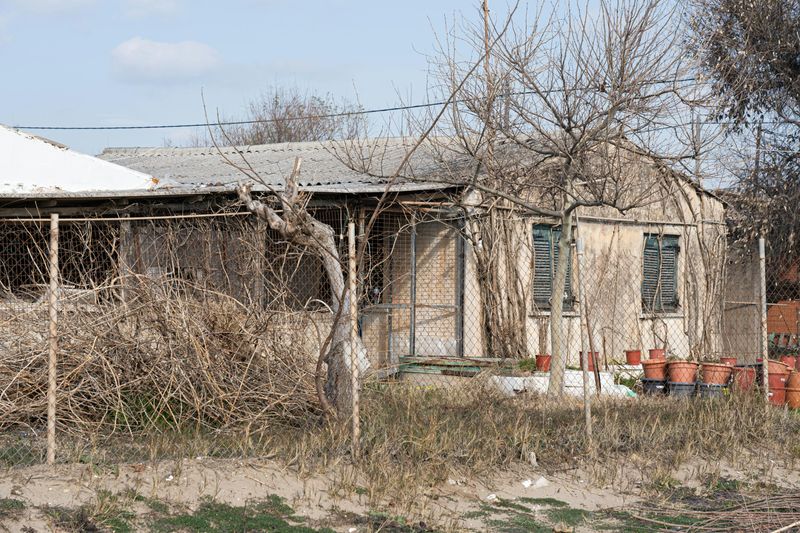 North Carolina Real Estate: 12 Home Types To Avoid & 11 Properties That Are Prime For 2026 - Decor Hint Properties With Overgrown Yards