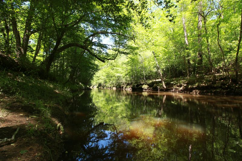 Little Fishing Creek's Clear, Inviting Waters