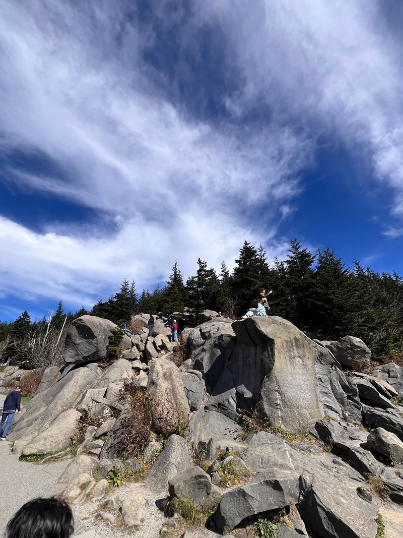 Magical Transformation After Fresh Snowfall