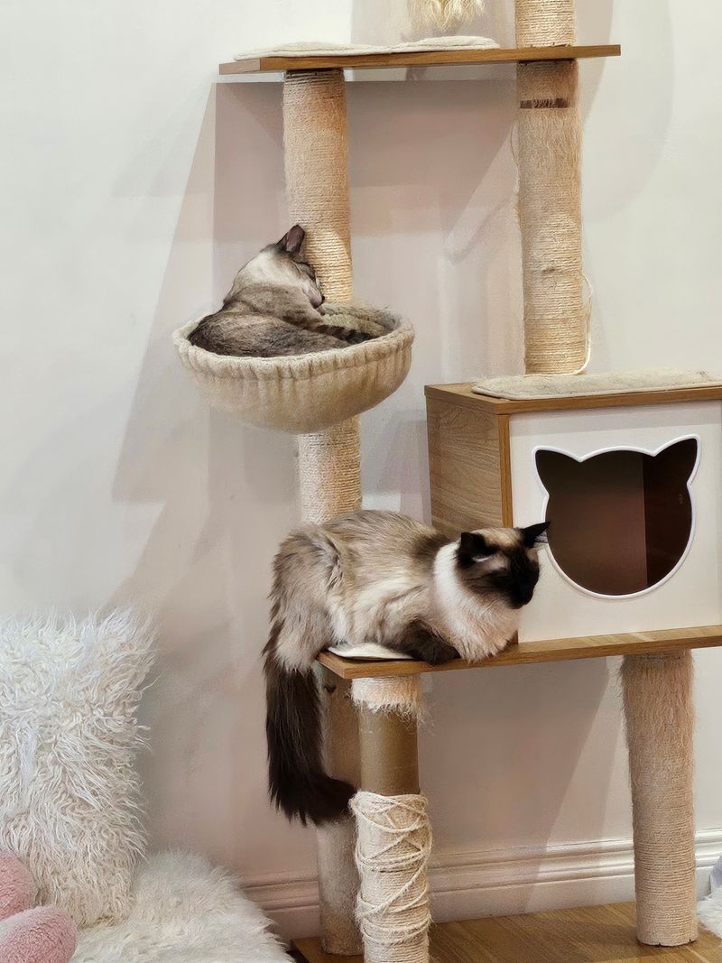 Operating Hours Thursday Through Tuesday