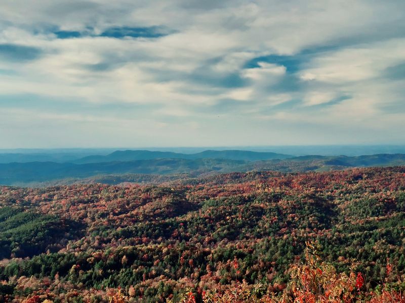 This Mountain Drive In North Carolina Feels Like A Roller Coaster With Views - Decor Hint Turkey Creek Overlook: Where Earth Meets Sky