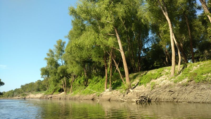 Salmon And Steelhead Fishing Draws Anglers Year After Year