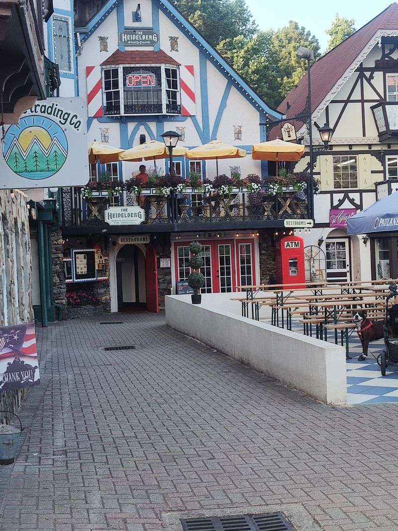 Helen Alpine Village