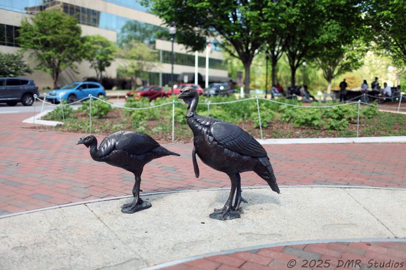 Get Outside And Explore Asheville, North Carolina Like Never Before - Decor Hint Walk The Asheville Urban Trail