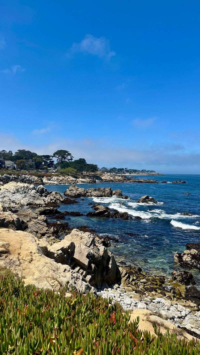 15 Epic California Road Trips You Need To Take That Belong On Your Bucket List - Decor Hint Monterey Peninsula Loop