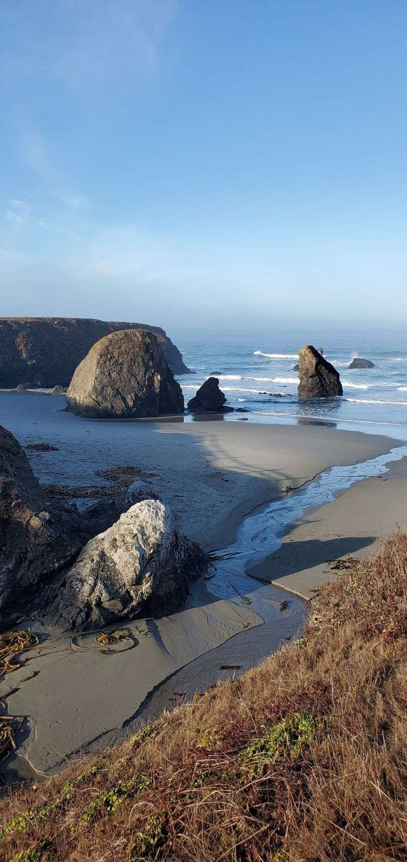 This Tiny California State Park Feels Worlds Away From Everyday Stress - Decor Hint Wildlife Viewing Includes Birds And Marine Mammals