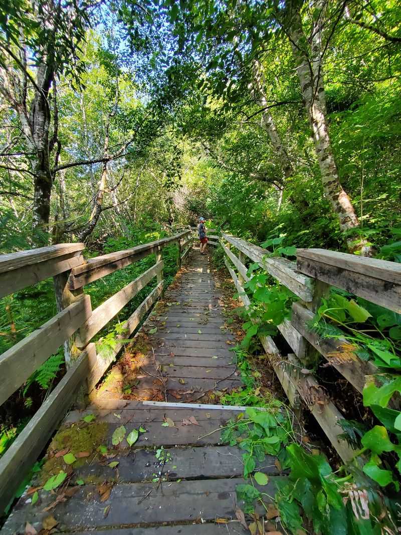 This Tiny California State Park Feels Worlds Away From Everyday Stress - Decor Hint Educational Opportunities At Jug Handle Creek Nature Center
