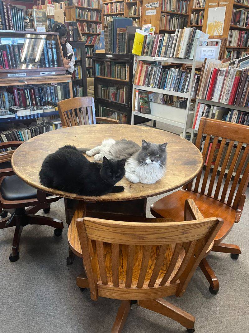 A Welcoming Atmosphere for Long Browsing Sessions