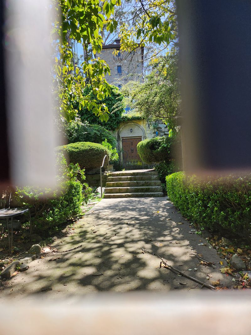 Albion Castle (San Francisco)